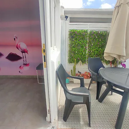 Apartment Sweet&wine With Terrace By Flamingo House
